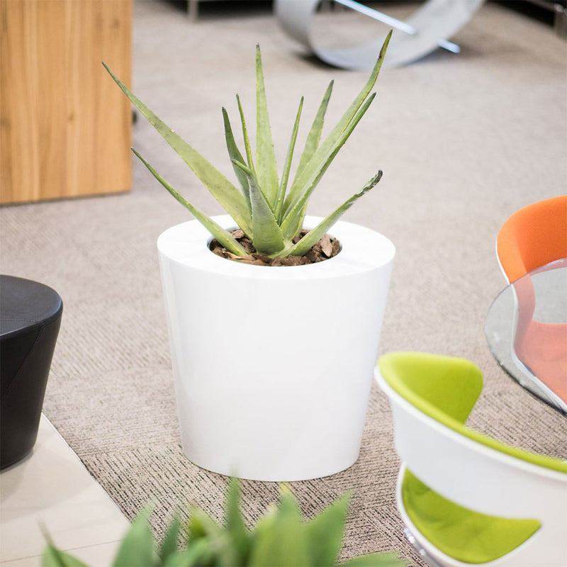 Plant Couture - Pots & Planters - Bertin S - Lifestyle Images 