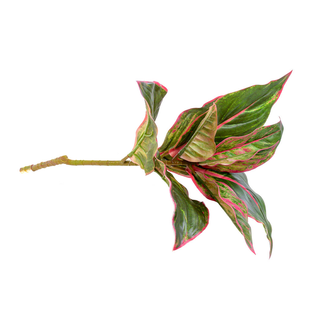 Plant Couture - Artificial Plants - Diffenbachia 44cm Green & Pink - Side 