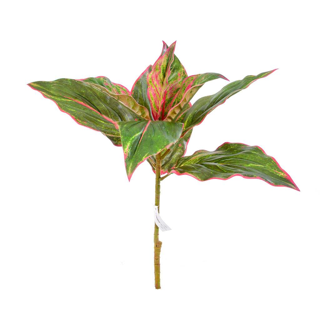 Plant Couture - Artificial Plants - Diffenbachia 44cm Green & Pink - Front 