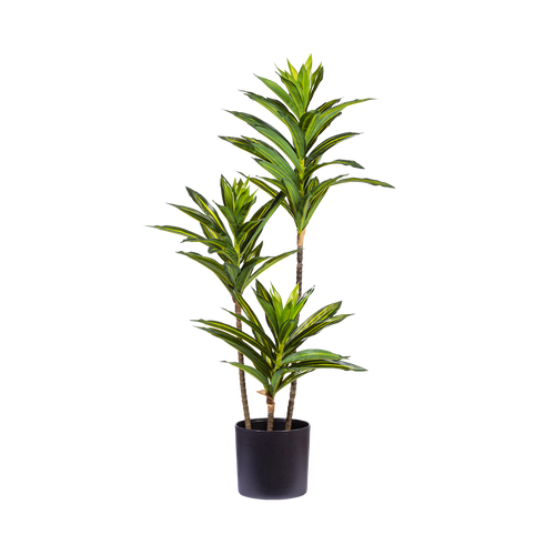 Premium Artificial Plants | Francisco Plant Couture