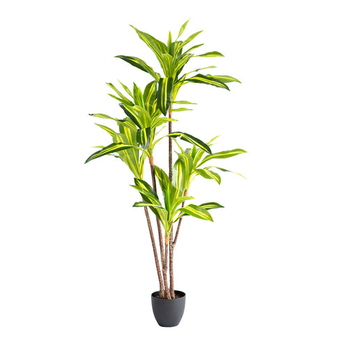 Premium Artificial Plants | Francisco Plant Couture