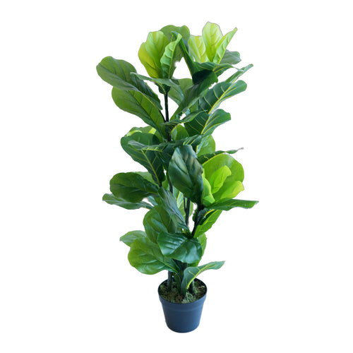 Premium Artificial Plants | Francisco Plant Couture