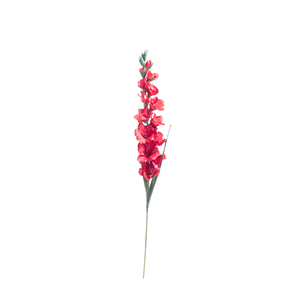 Gladiolus Red Silk Flower Stem - 100cm