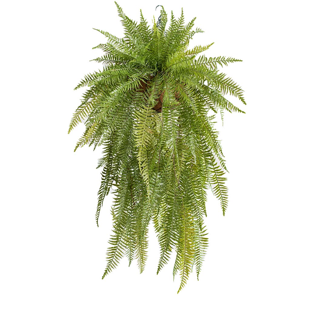 Hanging Basket L with Fern 114cm