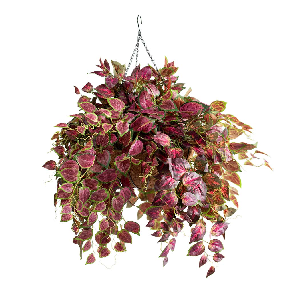 Hanging Basket L with Perilla 70cm