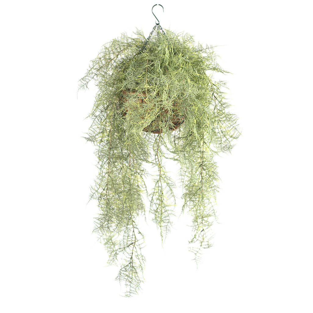 Hanging Basket S with Fern Green 112cm