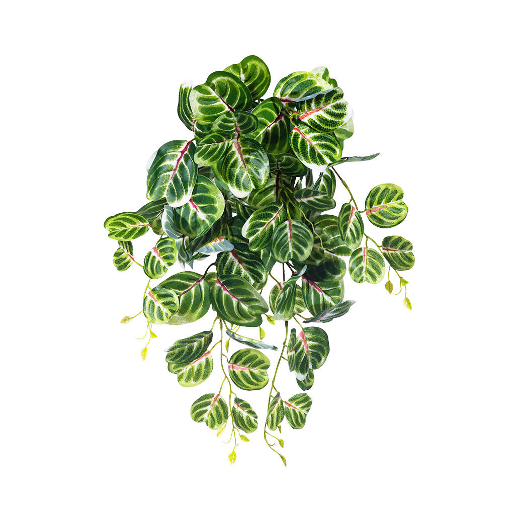 Faux Hanging Bloodleaf Bush 58cm 