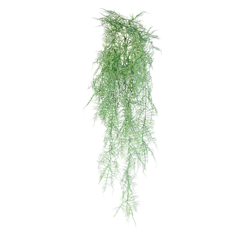 Hanging-Fern-Grey-112cm