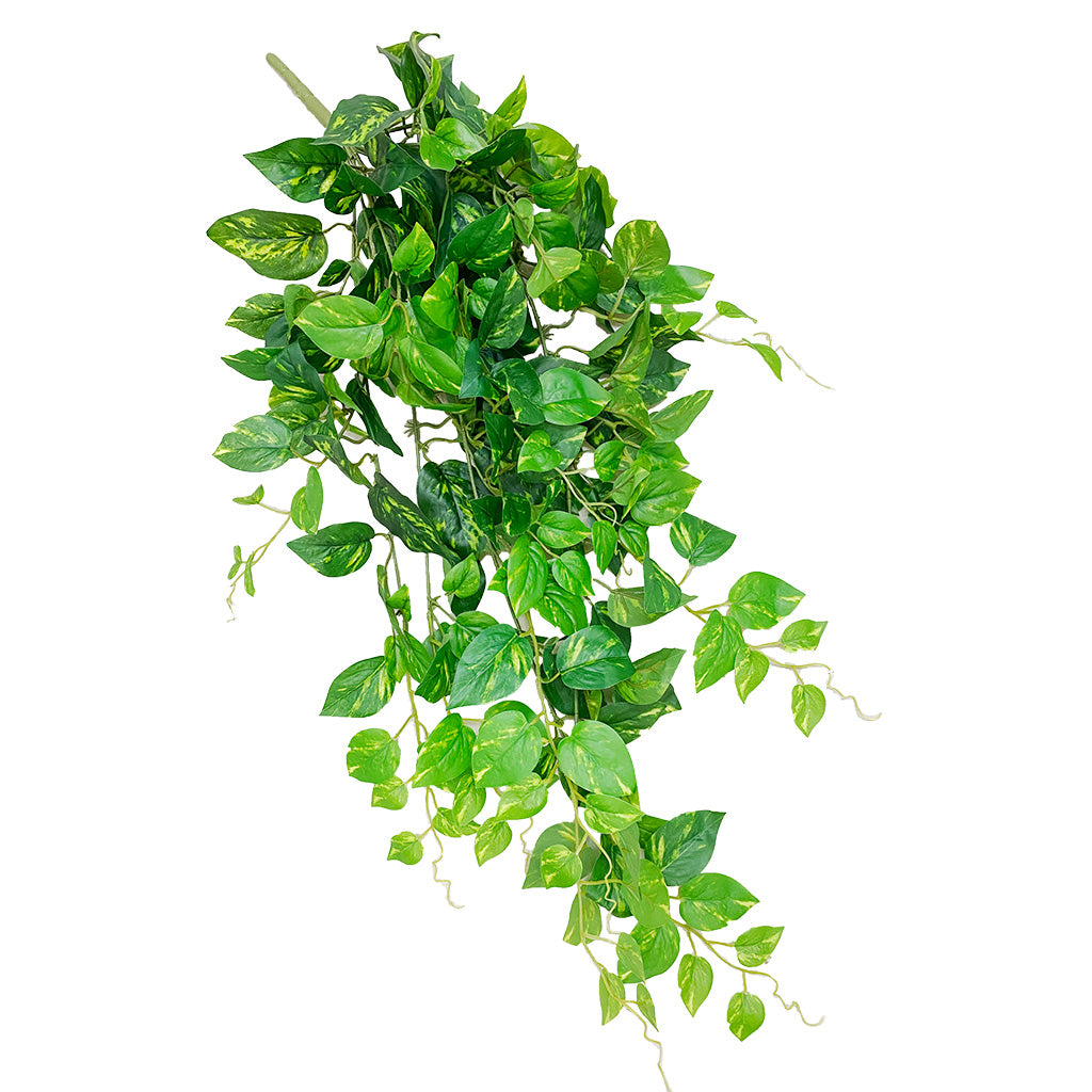 Hanging Fresh Pothos 90cm - Plant Couture - Artificial Plants