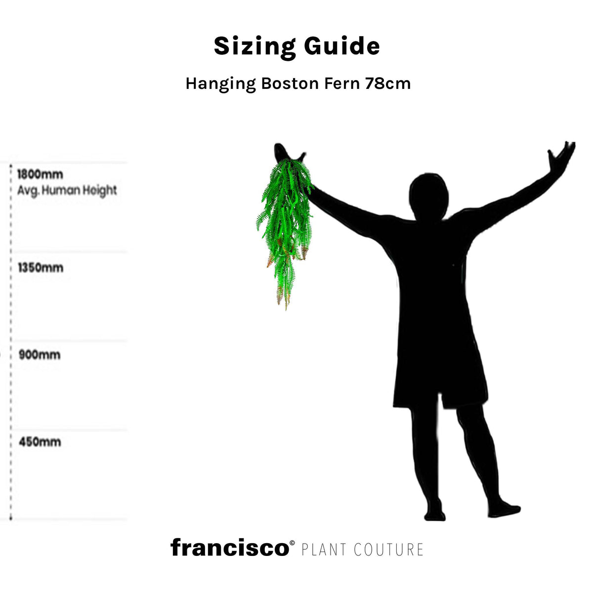 Hanging Boston Fern 78cm