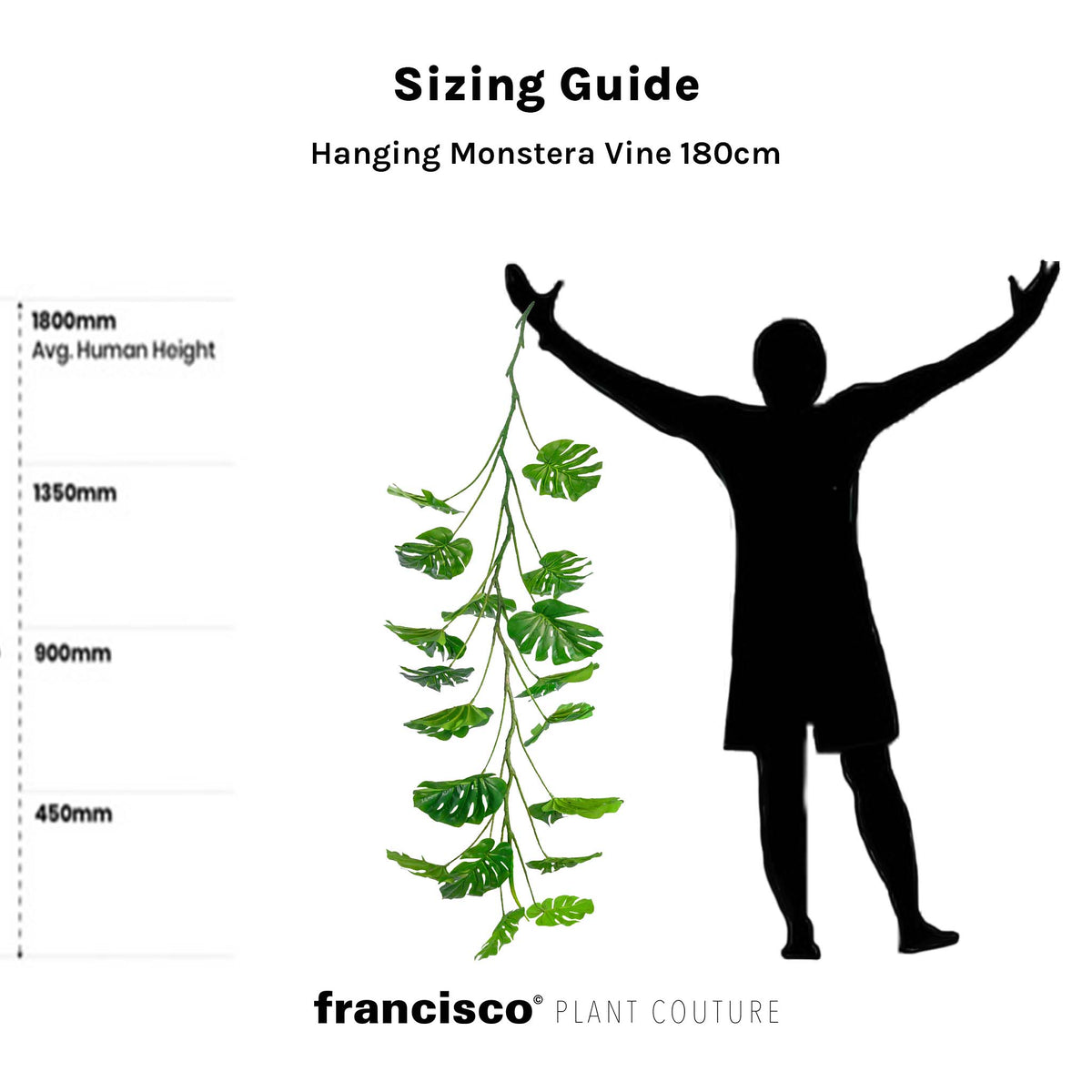 Hanging Monstera Vine 180cm