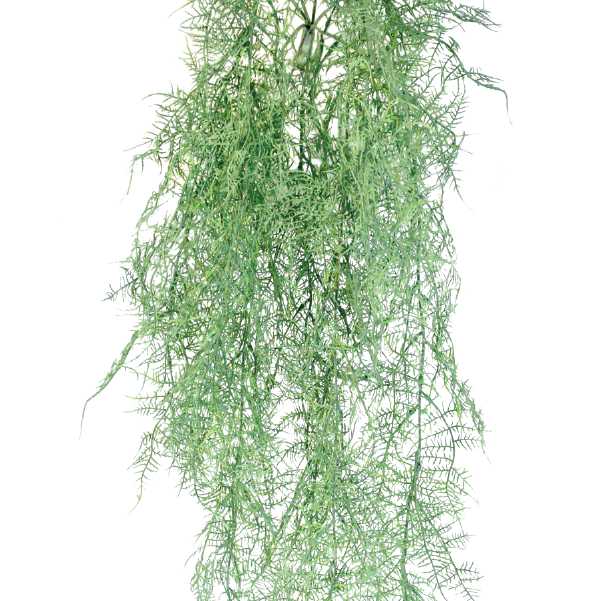 Hanging Fern Grey 112cm