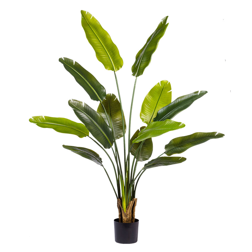 Faux Strelitzia 160cm Real Touch Tree