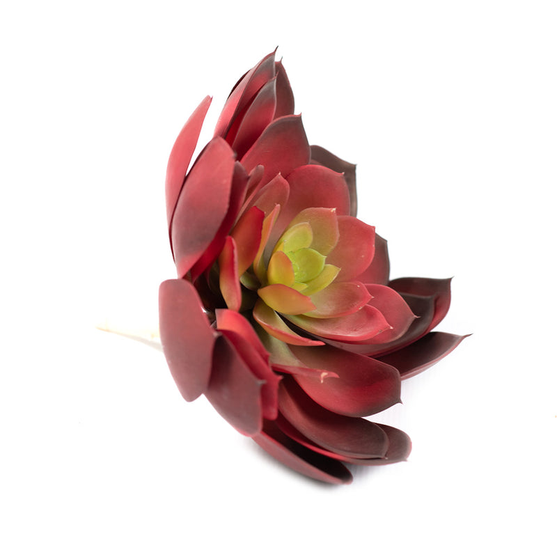 Plant Couture - Artificial Plants - Succulent Rock Rose Aeonium Red 18cm - Side 