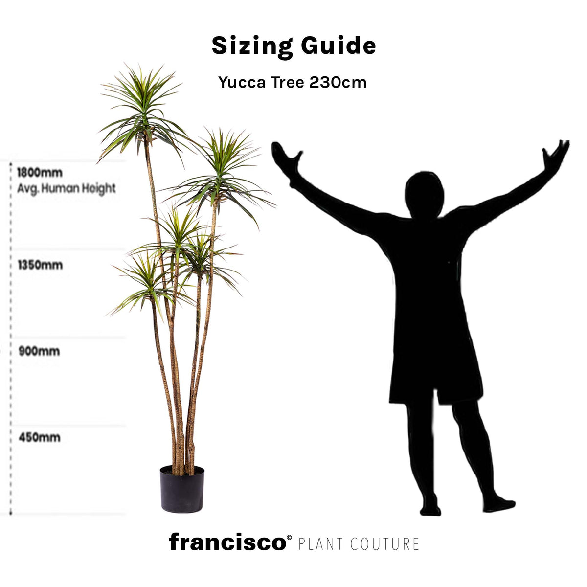 Yucca Tree - 230cm