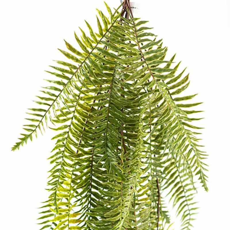 Plant Couture - Artificial Plants - Hanging Fern 114cm - Close Up 