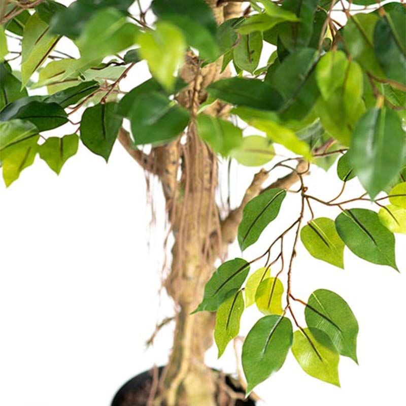 Plant Couture - Artificial Plants - Ficus Tree Real Touch 120cm - Close Up 