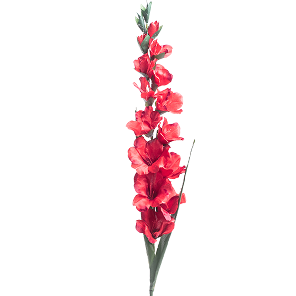 Gladiolus Red Silk Flower Stem - 100cm
