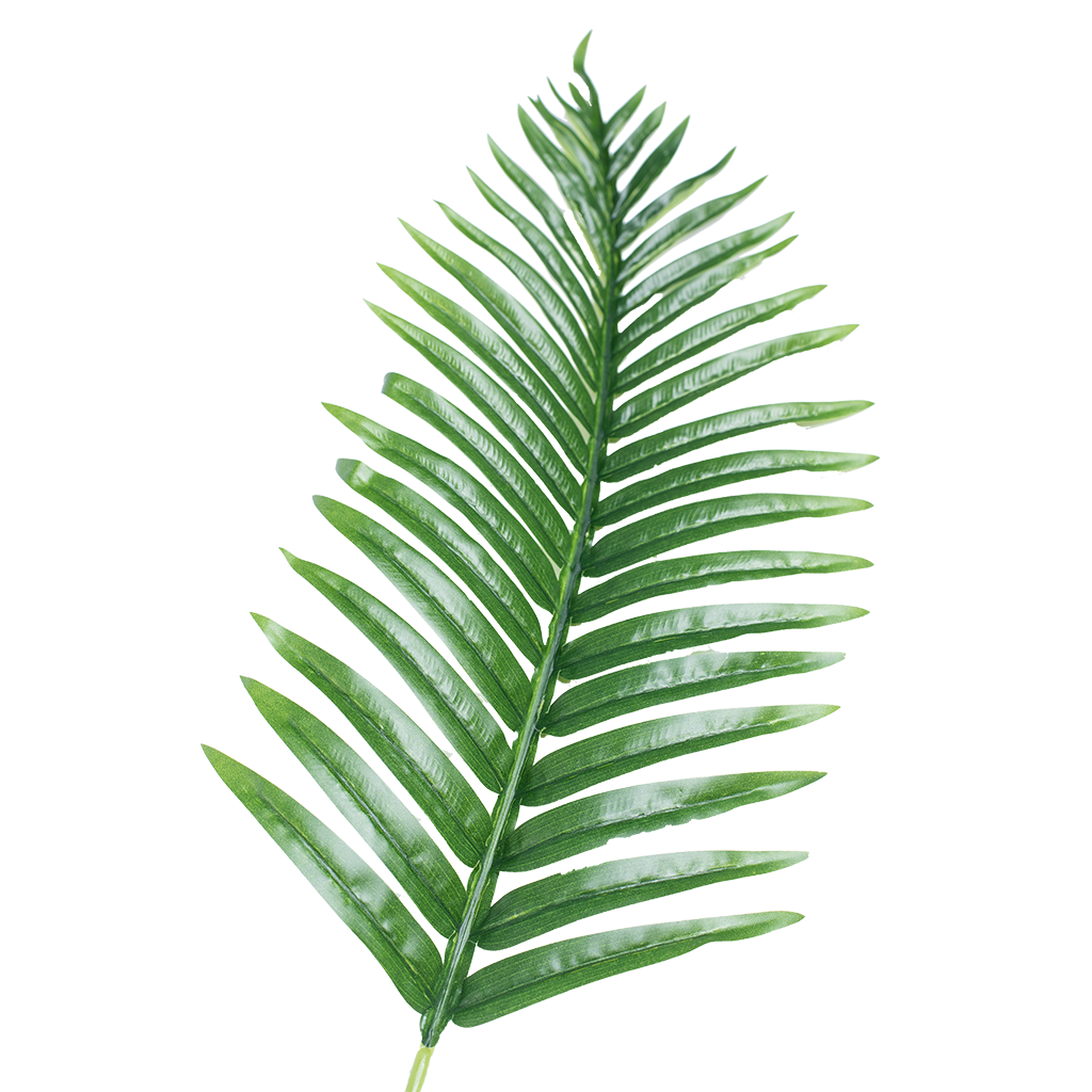 Palm Leaf - 100cm